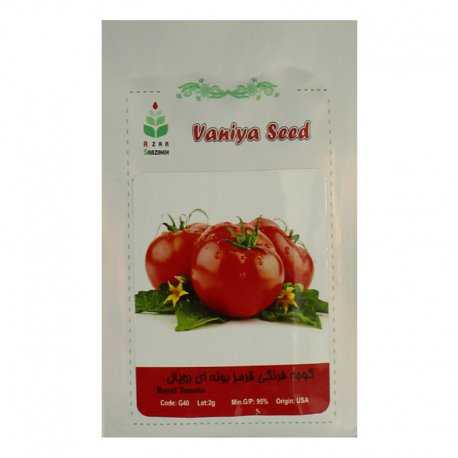 بذر گوجه فرنگی قرمز بوته ای رویال آذر سبزینه بذر گوجه فرنگی قرمز بوته ای رویال آذر سبزینه